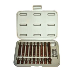 19PC KAPLAMALI TORX BİTS SET