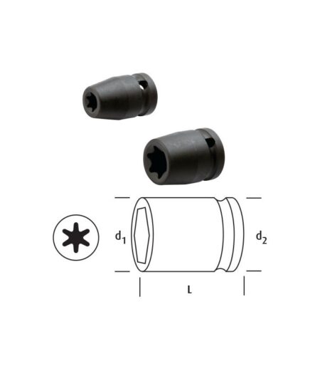 DİŞİ TORKS LOKMA 12