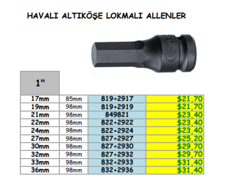 1'' HAVALI ALTIKÖŞE LOKMALI ALLENLER