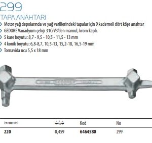 299 Tapa Anahtarı (2)