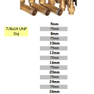 ELMAS CAM MATKAPLARI (2)